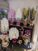 ���i�C���[�W