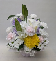 ���i�C���[�W